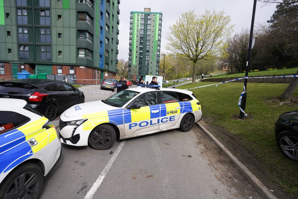 A man in his 20s has died from fatal gunshot wounds in Sheffield