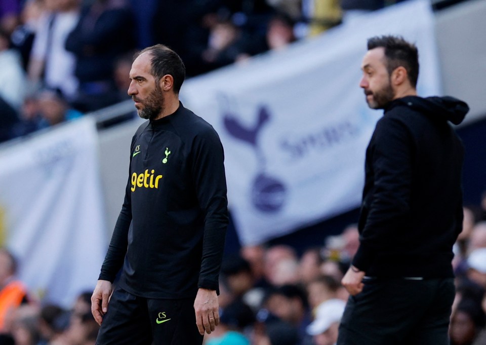 Cristian Stellini and Roberto De Zerbi were both red carded at the weekend