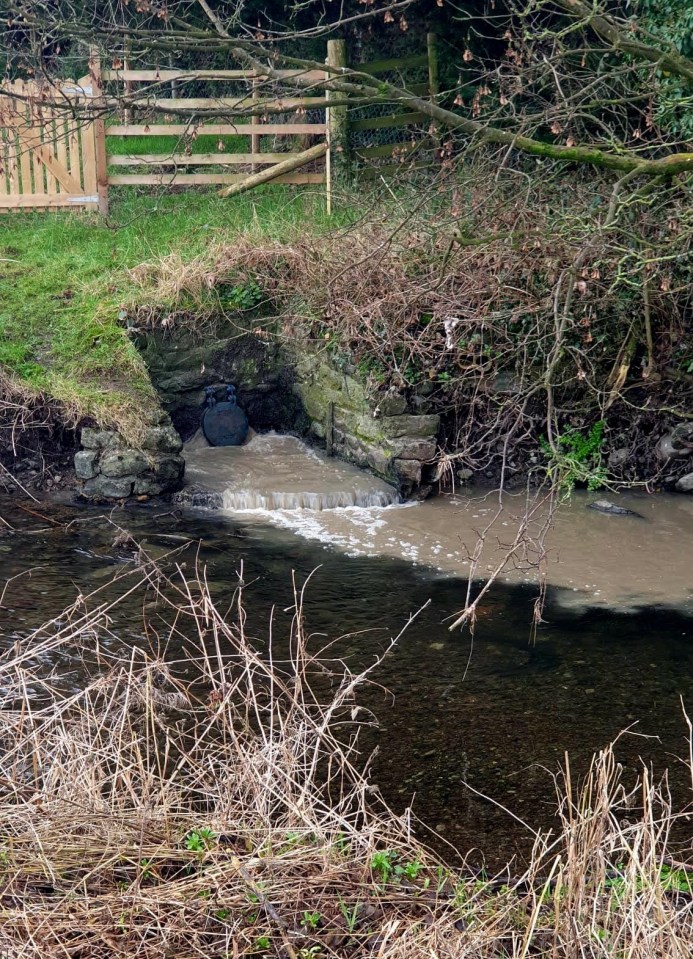 A water company has admitted pumping sewage into the River Eea in Cark almost every day in breach of its permit, creating a sewage stink