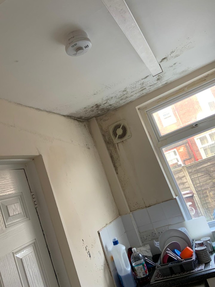 Mould spread to other areas of the family's home