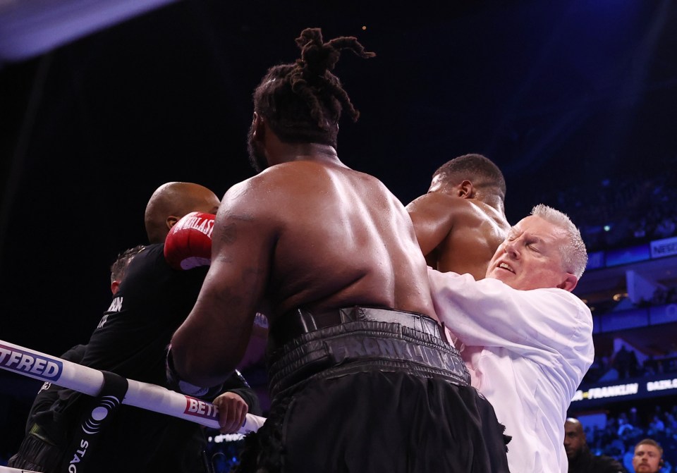 They might had 12 rounds, but both boxers wanted some more scrapping