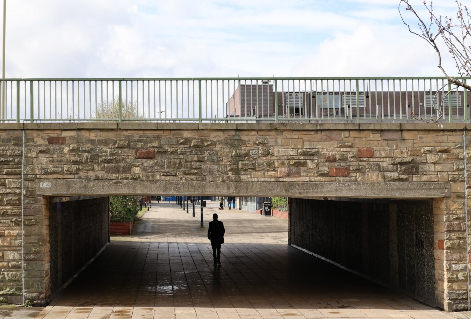 A pedestrian walkway has become known as the 'drug tunnel'