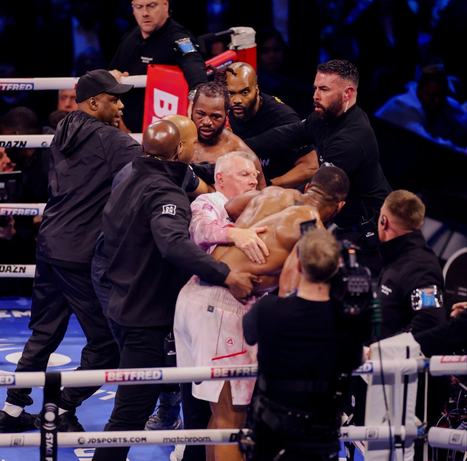 Anthony Joshua and Jermaine Franklin ensured it was an ugly end to their fight