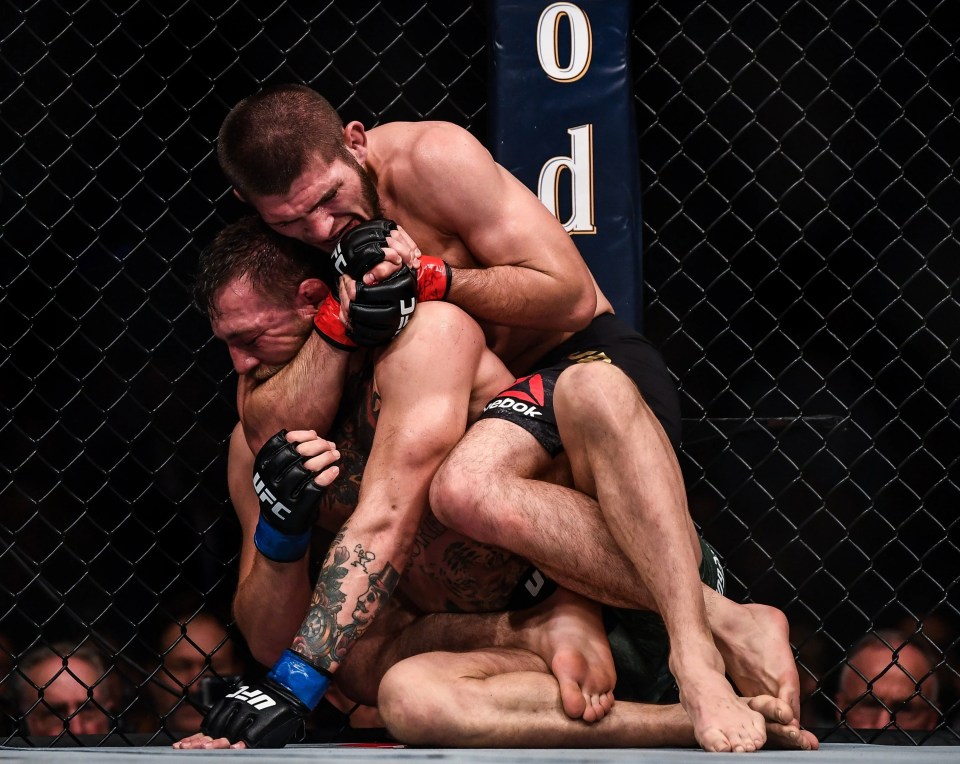 Khabib Nurmagomedov beat Conor McGregor with ease at UFC 229