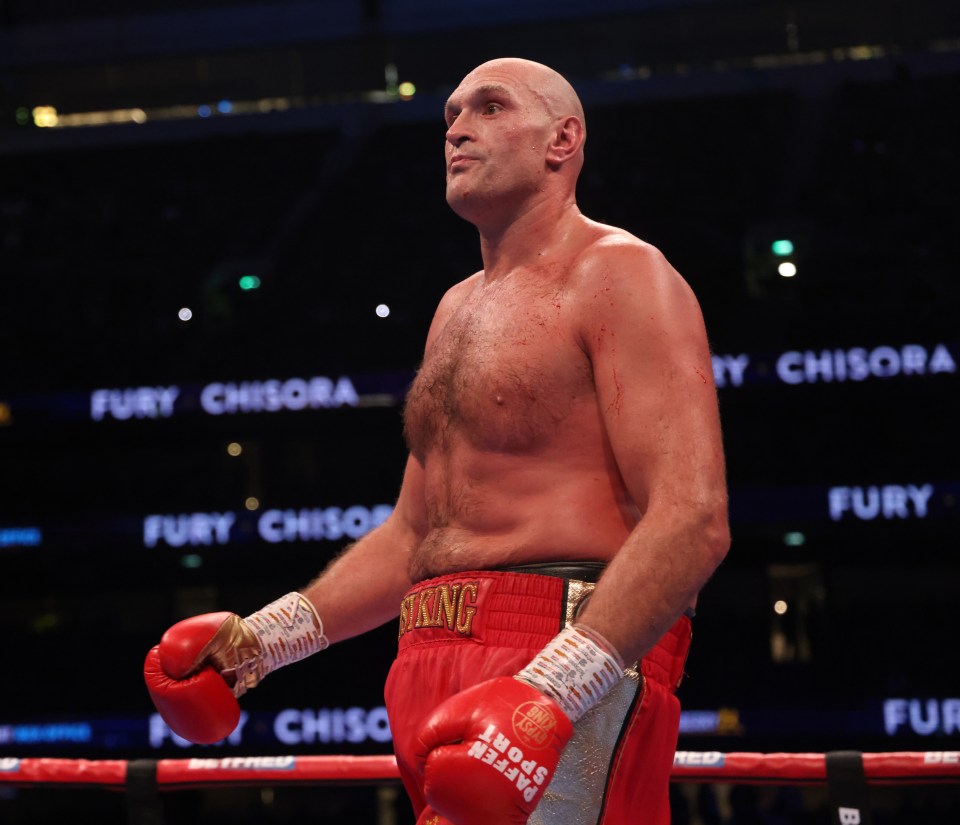 Tyson Fury was called out by Anthony Joshua