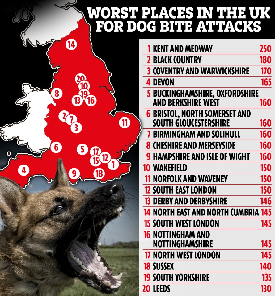 Last month it was revealed dangerous dog attacks have risen by 34 per cent in England and Wales over the past five years