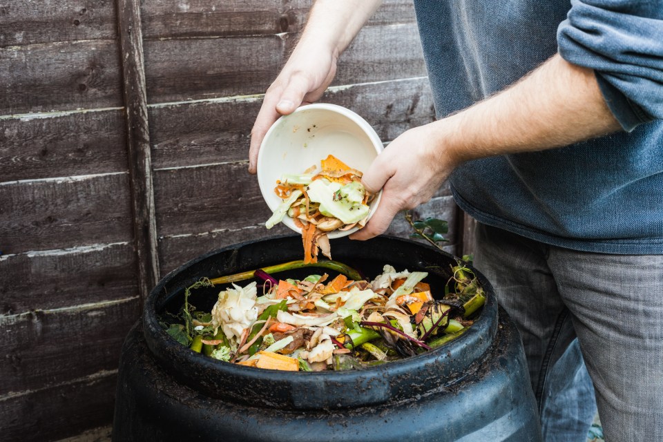 Gardening guru Samantha revealed the four things you should never add to your compost heap - including the one thing that could leave you overun with pests