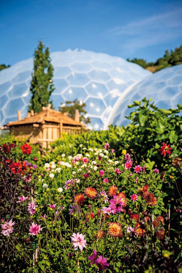 Entry costs to The Eden Project are from £33 per adult and £11 per child and you can visit as many times as you want in a year