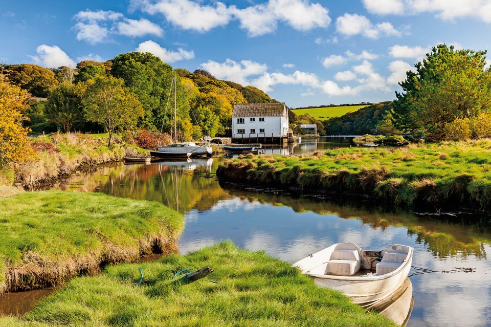 The sanctuary in Gweek on Cornwall’s southern coast rescues and rehabilitates a variety of wild native species