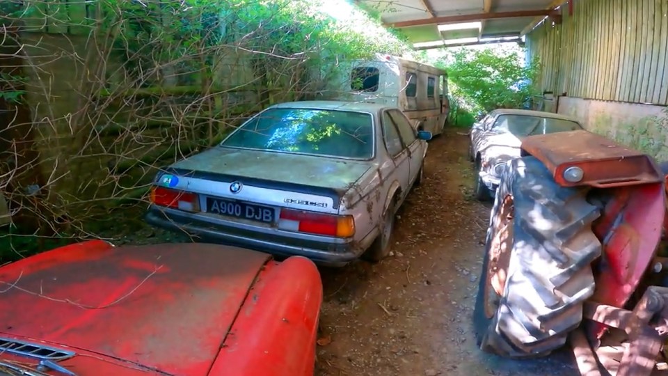 Lots of classic cars were discovered in various states of repair