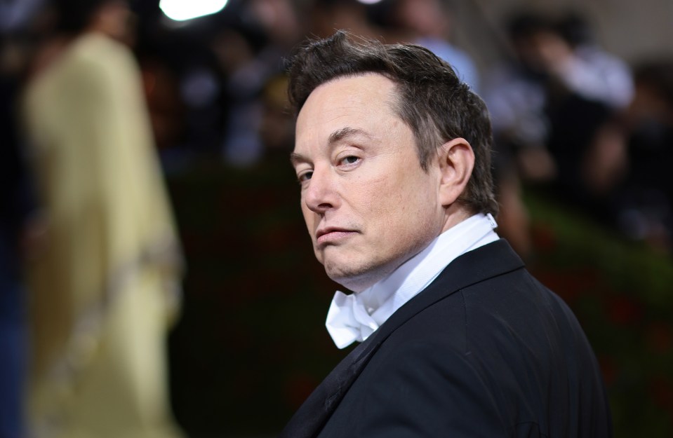 Elon Musk has warned to take a break on AI development and the world would be wise to listen