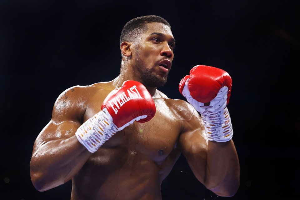 Anthony Joshua's earnings per punch have been revealed