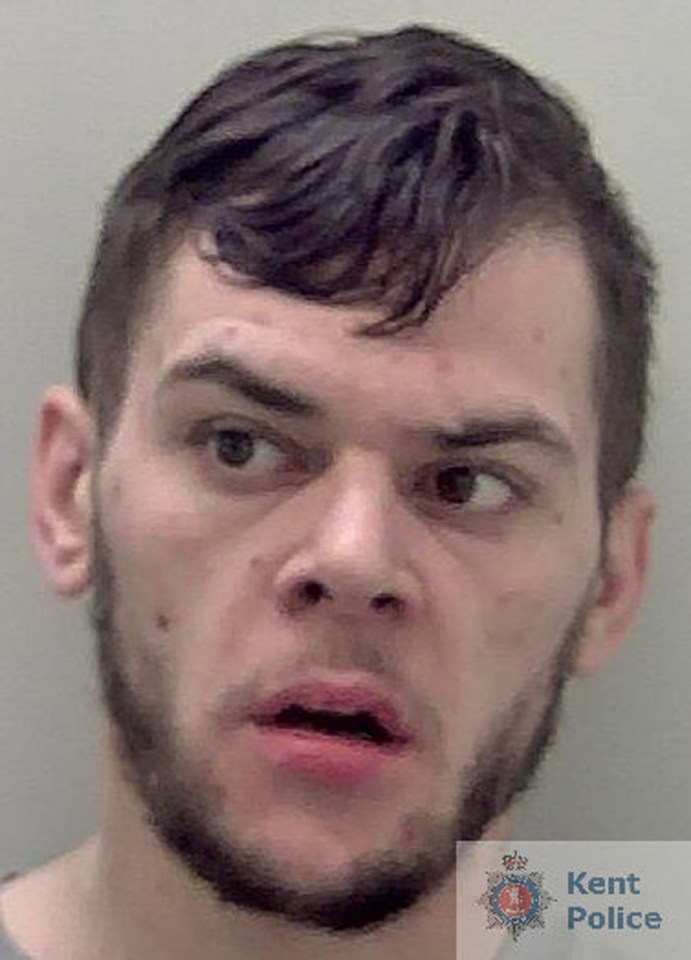 Shamen Williams was jailed for 13 years for attacking strangers with a machete