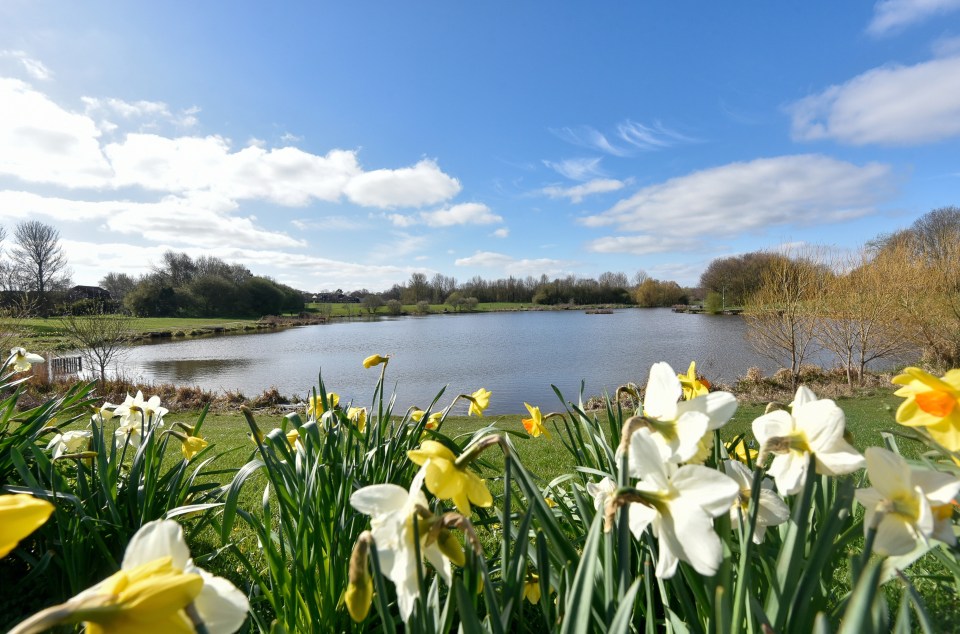 The lake in Hemlington, Middlesbrough, where locals are scared to leave their homes