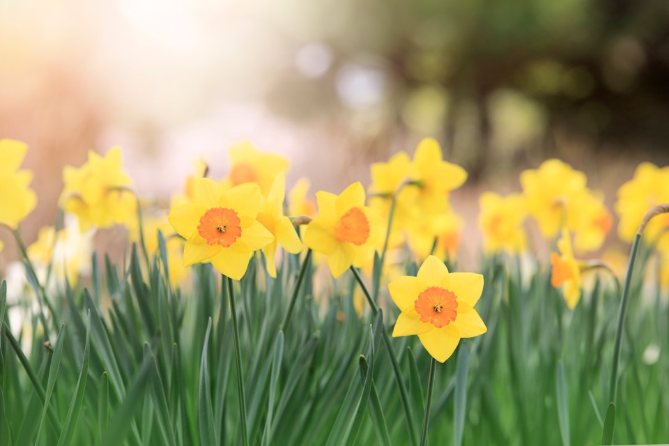 Four ways to decorate your table for Easter without breaking the bank