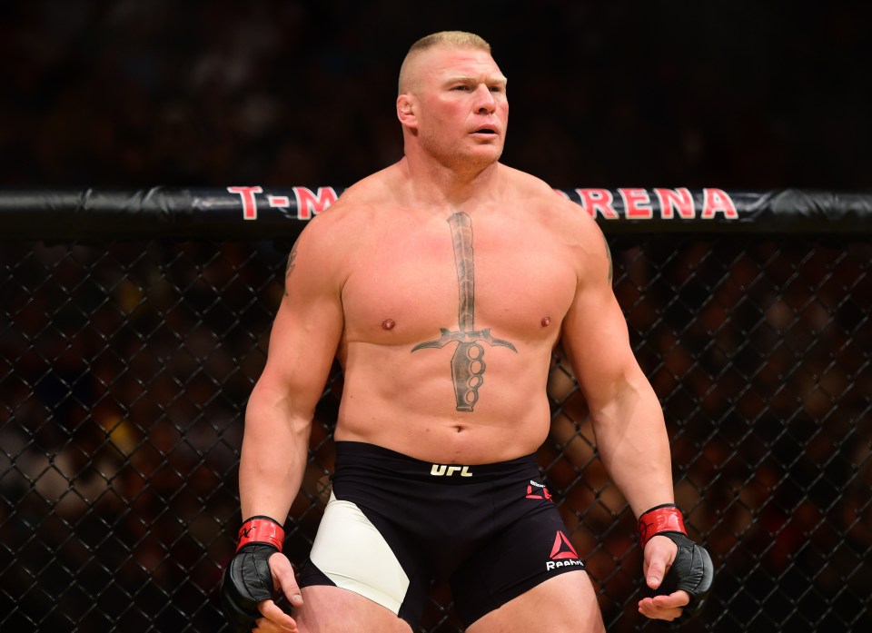 Brock Lesnar is one of the most prolific combat sports stars in the world