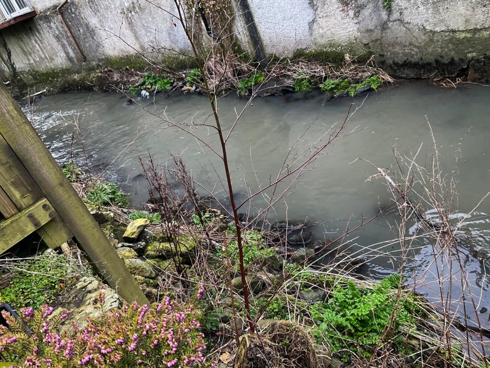 Residents say the river takes on a murky grey colour at times due to the sewage spillage (pictured)