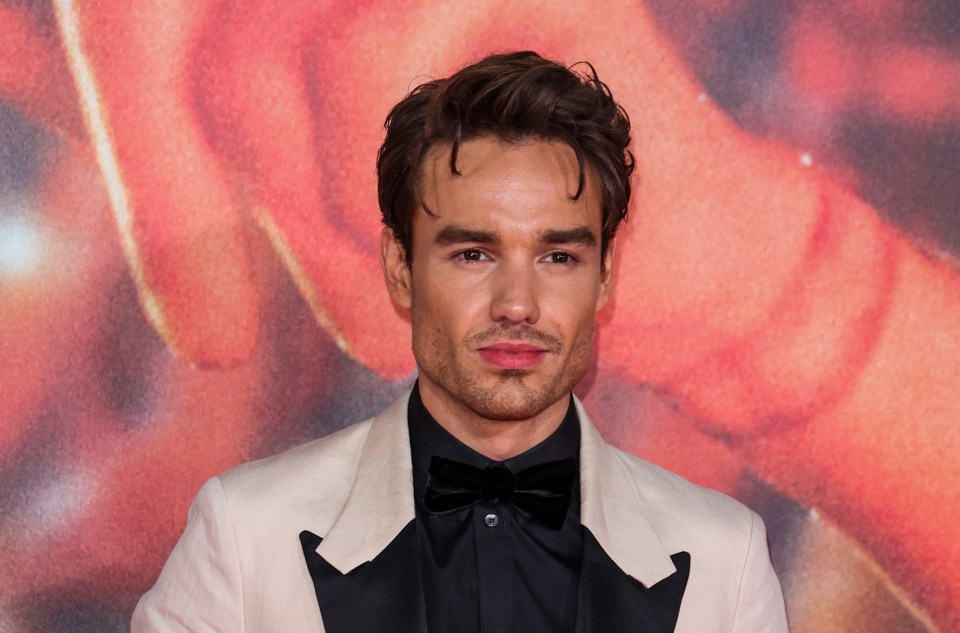 Liam Payne loves boxing and has spoken about fighting KSI or Justin Bieber