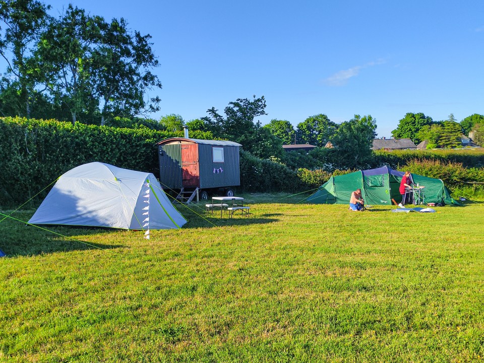 Chalk Meadow in Dorset offers a more rural camping experience to its guests