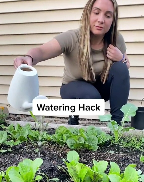 Sabrina took to TikTok to share her savvy watering hack, with means people won't need to worry about their plants while they're away from home