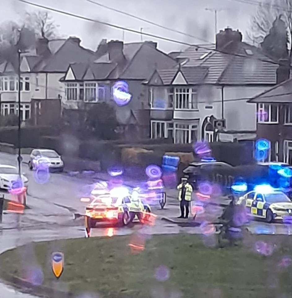 A woman died after being hit by a car in Sheffield