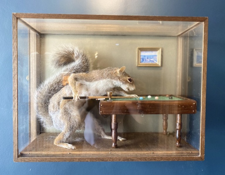 The restaurant's art includes a stuffed squirrel in a glass case playing pool