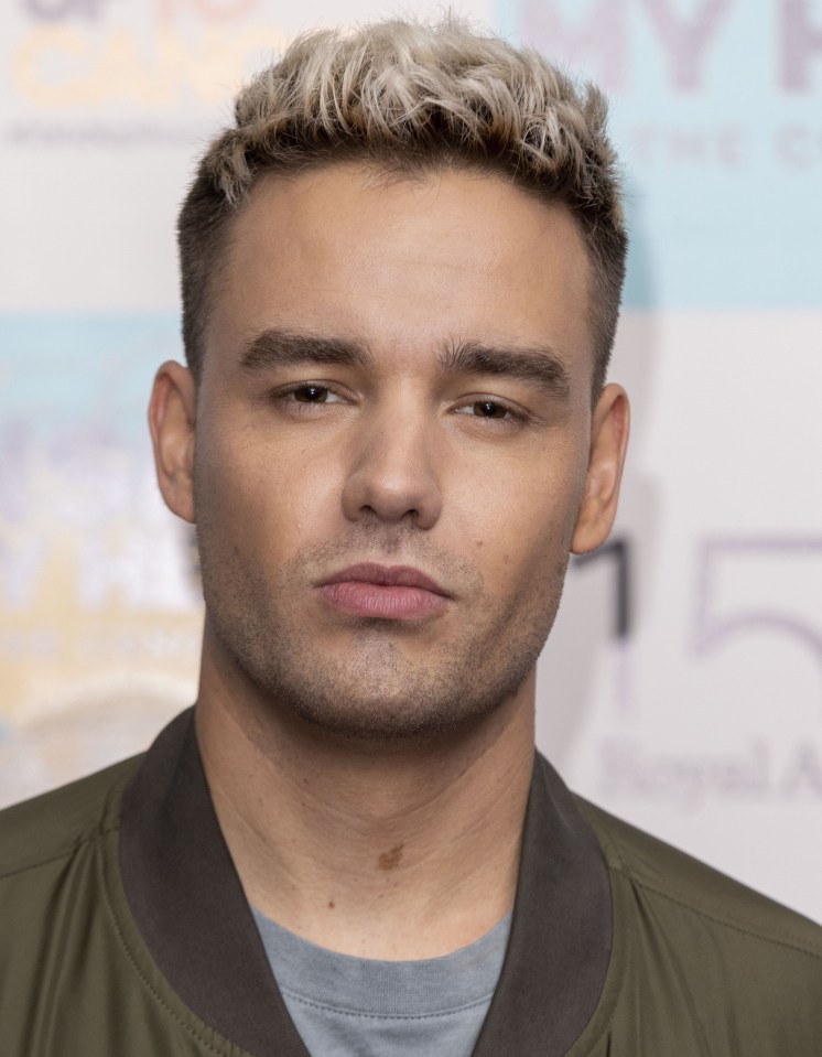 Liam Payne has met with four production companies to talk about a new documentary about his life