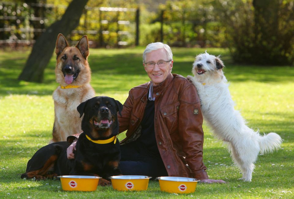 Paul O'Grady used to use sneaky tactics to get dogs adopted, according to Ali Taylor of Battersea Dogs & Cats Home