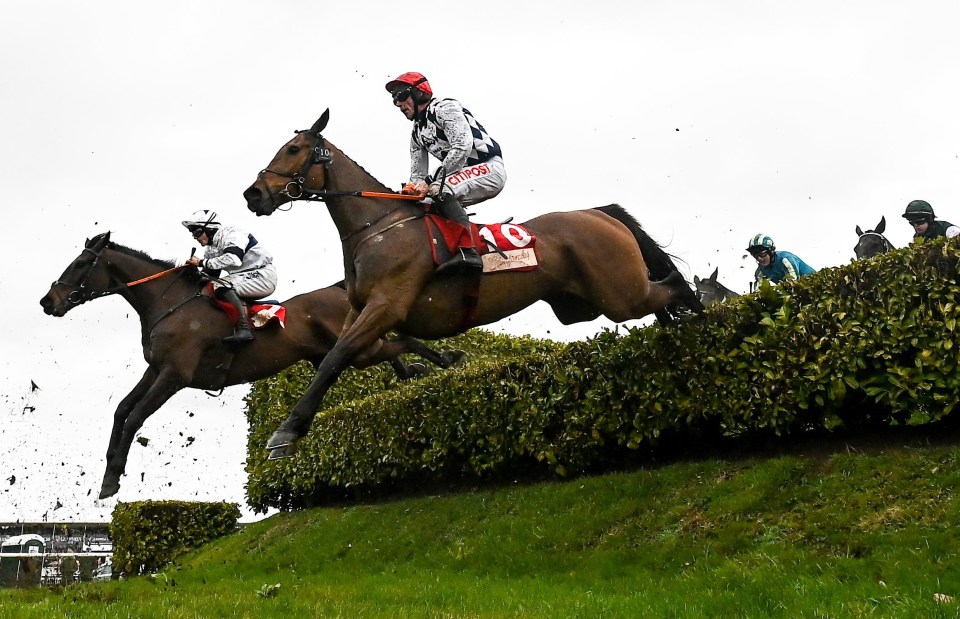 Galvin looks a natural over big fences, is proven over long trips and could have drying conditions in his favour in the Grand National