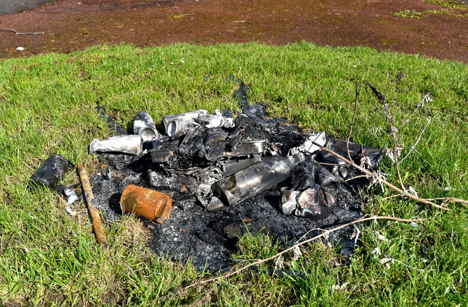 The youths reportedly threaten to set fire to homes and wildlife