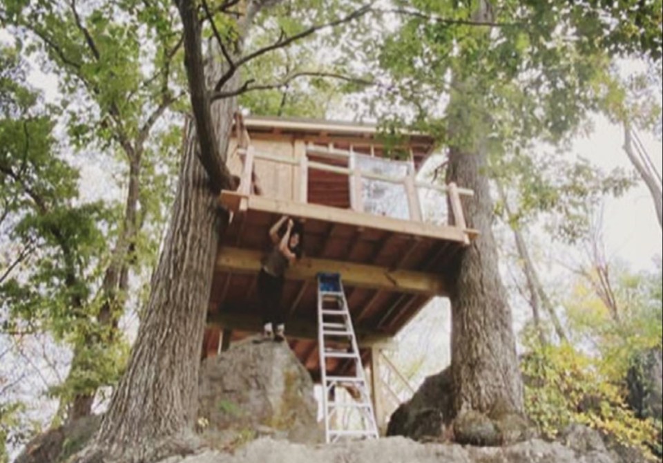 The treehouse was built between some trees on the property