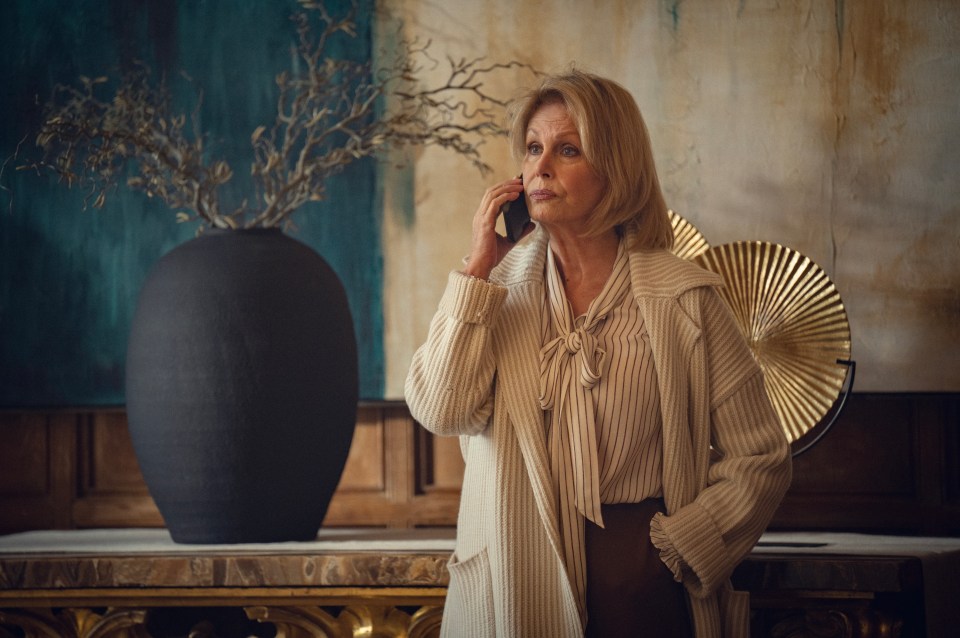 Joanna Lumley also stars, as Maya’s protective mother-in-law Judith