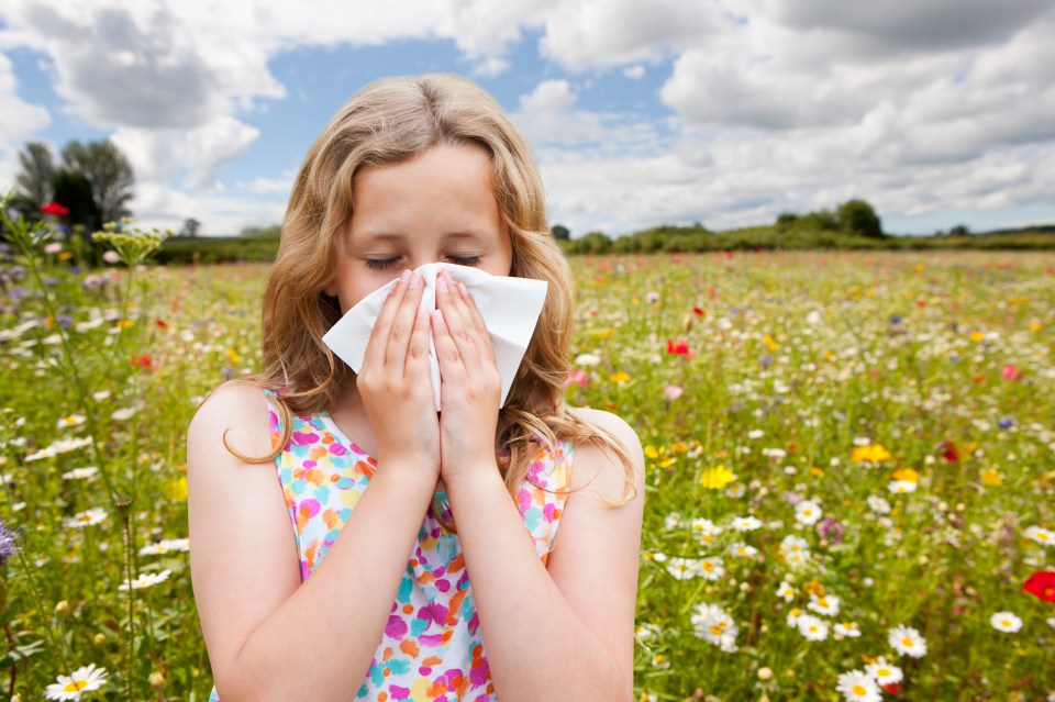 Here's five cheap tips to beat hay fever symptoms so you can enjoy the warmer months