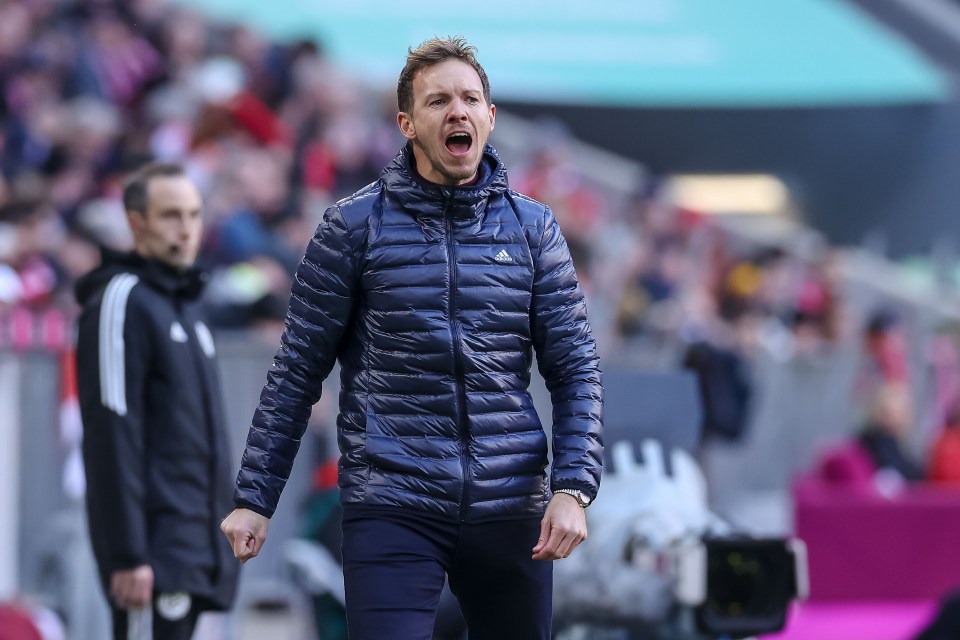 Julian Nagelsmann has revealed his demands to take over at Tottenham