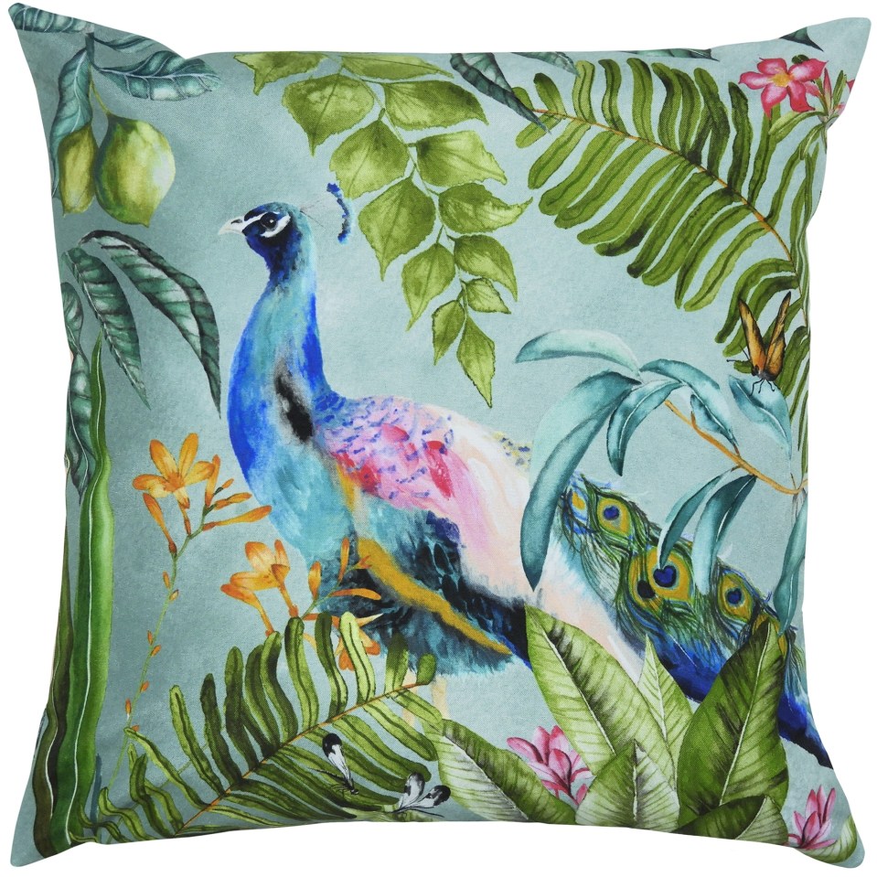 Peacock cushion, Dunelm, £14