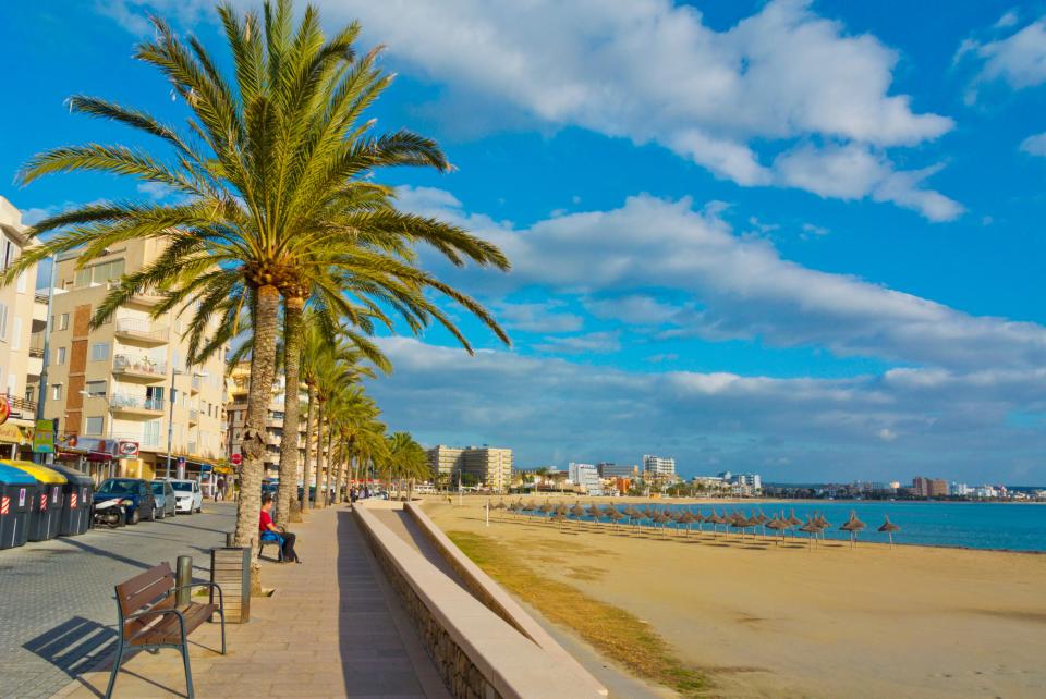 Authorities in Palma are looking to clamp down on antisocial behaviour