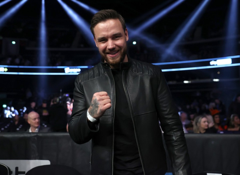 Liam Payne has challenged Tommy Fury to a celebrity boxing fight