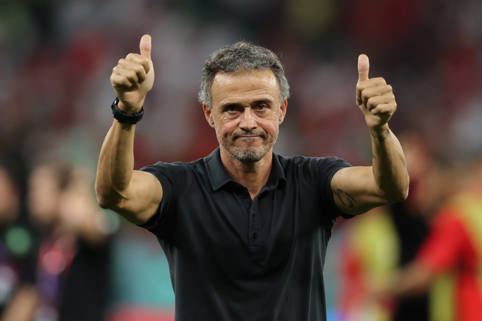 Ex-Barcelona and Spain chief Luis Enrique has also discussed the job with Boehly