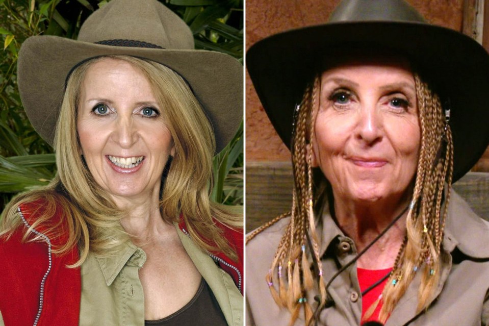 Gillian McKeith has been sporting hair braids during this series