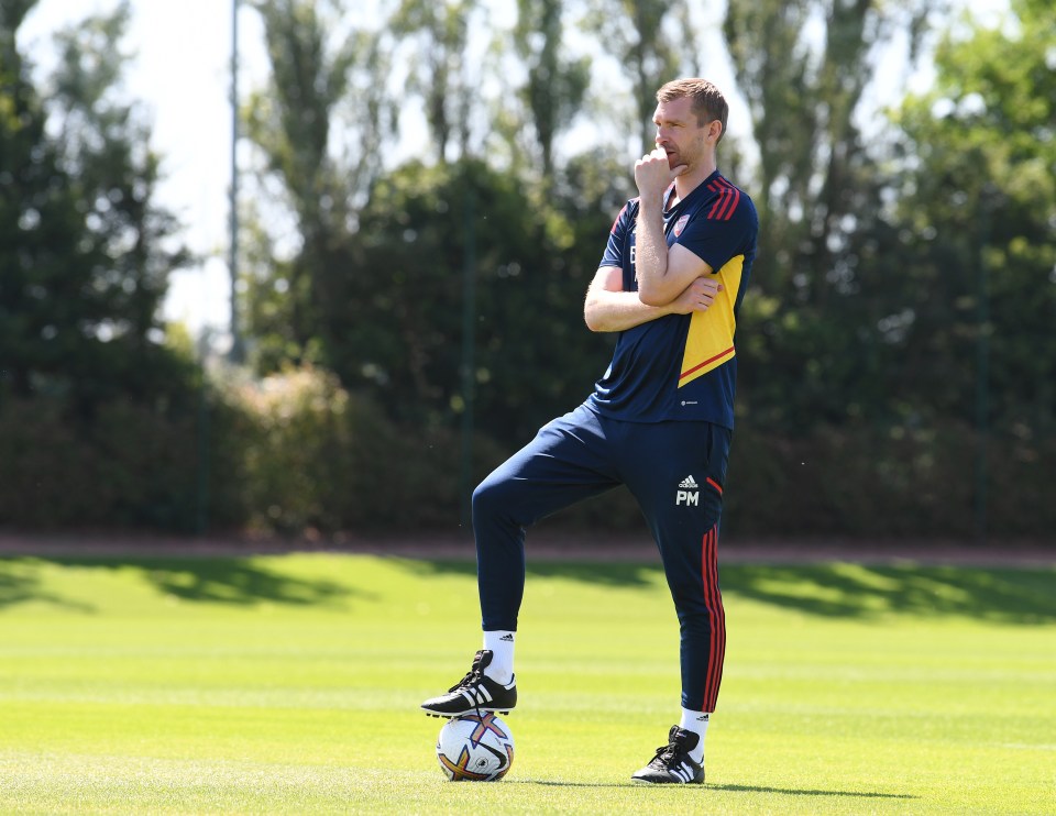 Mertesacker returned the favour when the Arsenal manager job was available