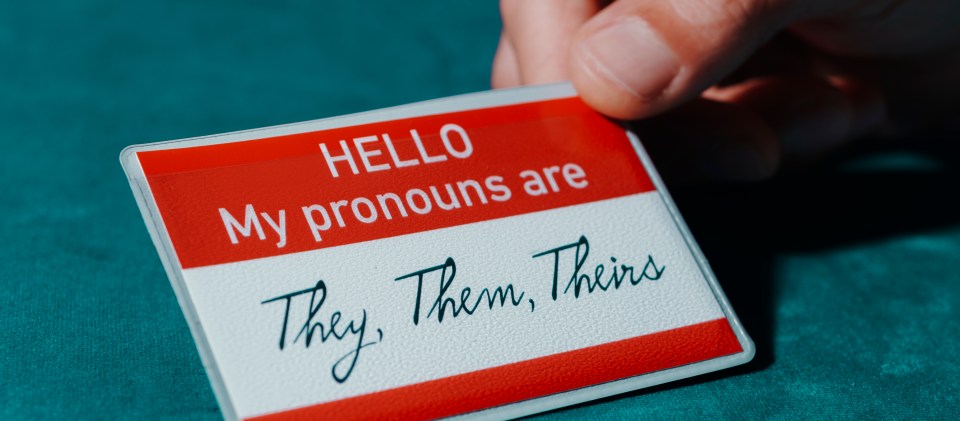 Children might go by different pronouns (he/she/they) and all the while parents do not know what is going on