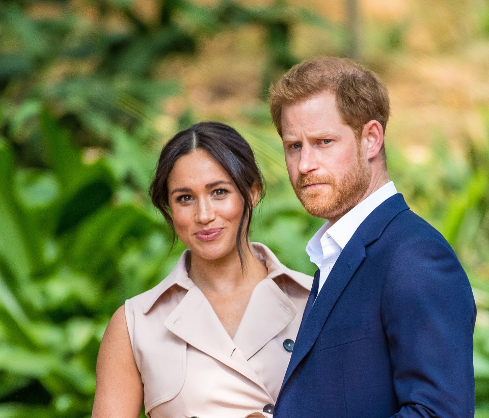 Plenty has been claimed about Meghan and Harry in the new book