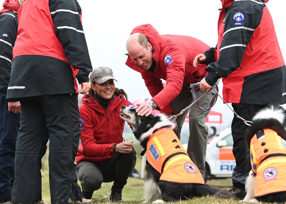 Kate and Will meeting rescue dogs in Wales