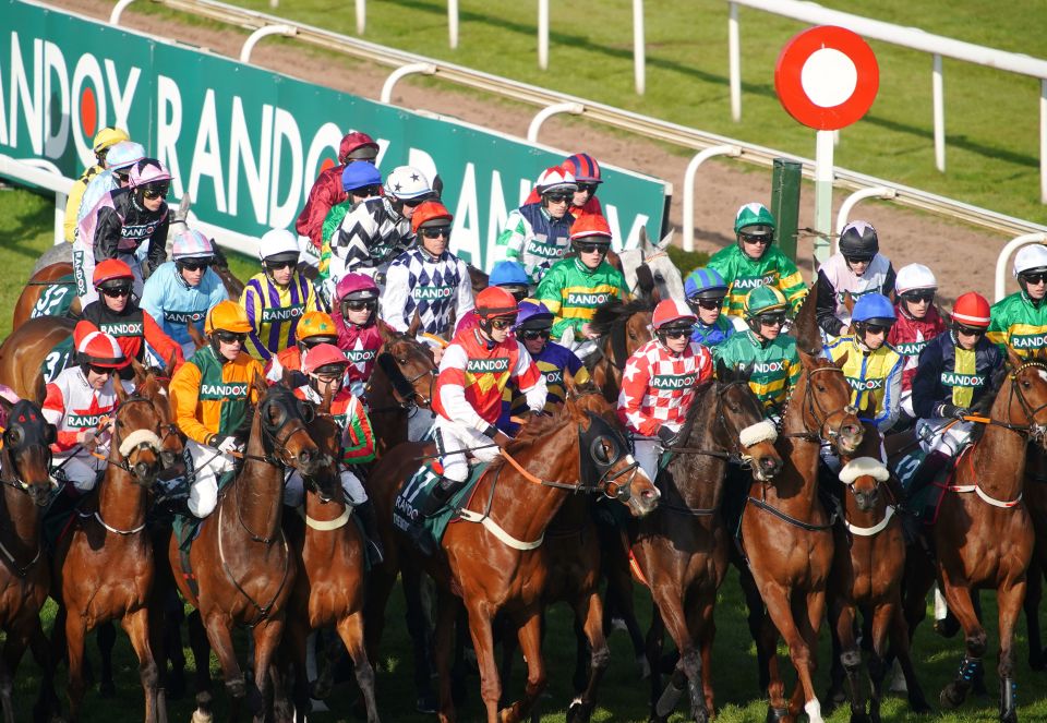 Hill Sixteen died after a fatal fall at the first fence of the Grand National