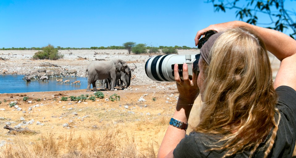 You can take snaps of elephants like this one taken at a waterhole in Namibia