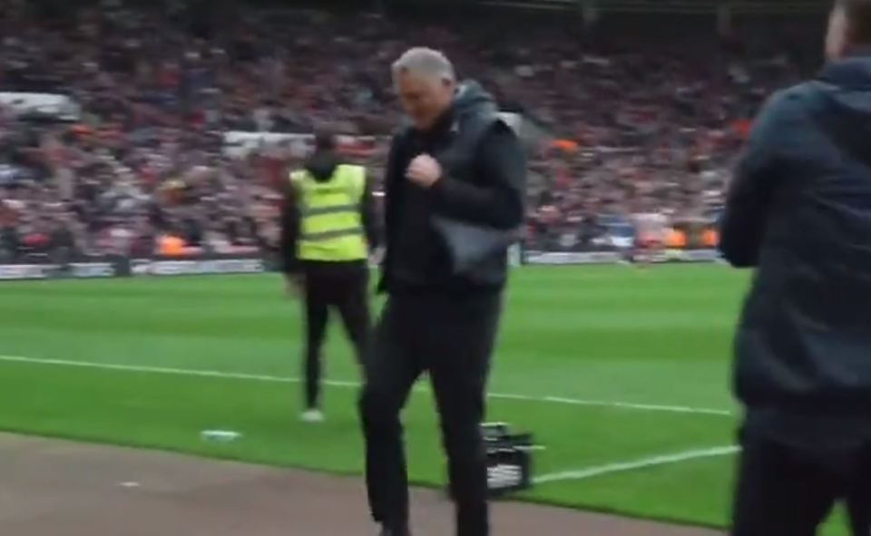 Tony Mowbray suffered a freak injury celebrating Sunderland's  equaliser against Watford