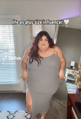 The plus-size influencer regularly posts paid partnership clips and gifting hauls on TikTok