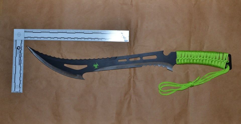 Judge Christine Laing KC urged jurors to write to their MPs about the ease of buying deadly weapons (pictured: a zombie knife)