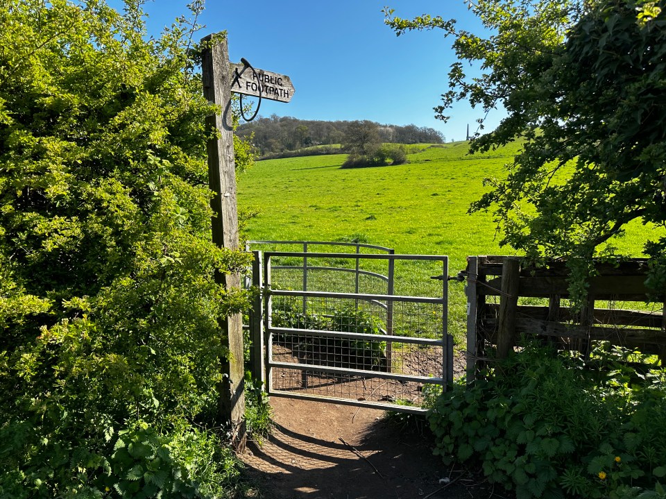 Hagley boasts beautiful green scenery