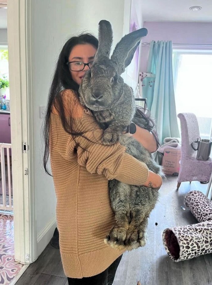 Gemma Mead, who spends £17,000 a year on her pets, with giant rabbit Chelsea